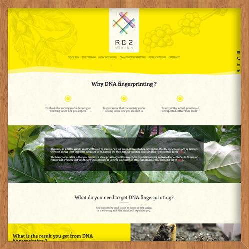 Création du site web de RD2vision