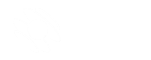 Logo ICPS3D
